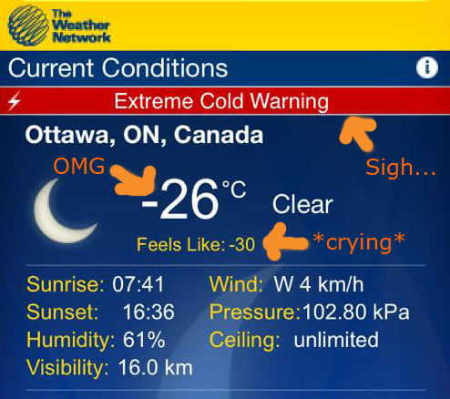 This is a screenshot of the cold weather forecast around the time this Cauliflower Sweet Potato Carrot Soup was made.