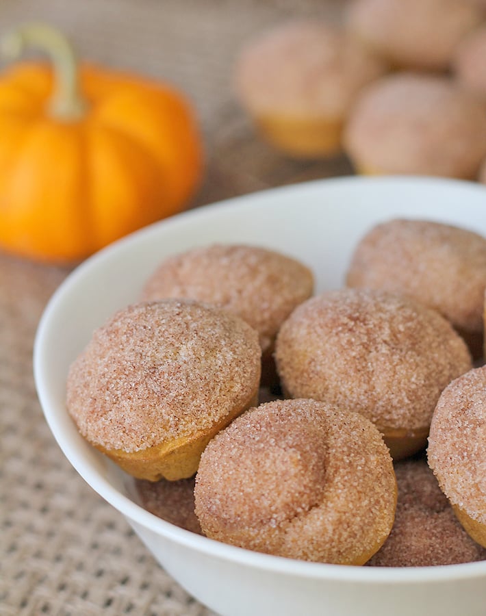 Mini Vegan Gluten-Free Pumpkin Muffins in a white bowl.
