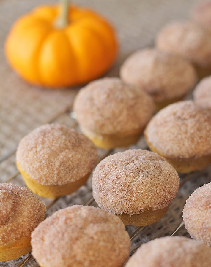 Mini Vegan Gluten-Free Pumpkin Muffins on a cooling rack.