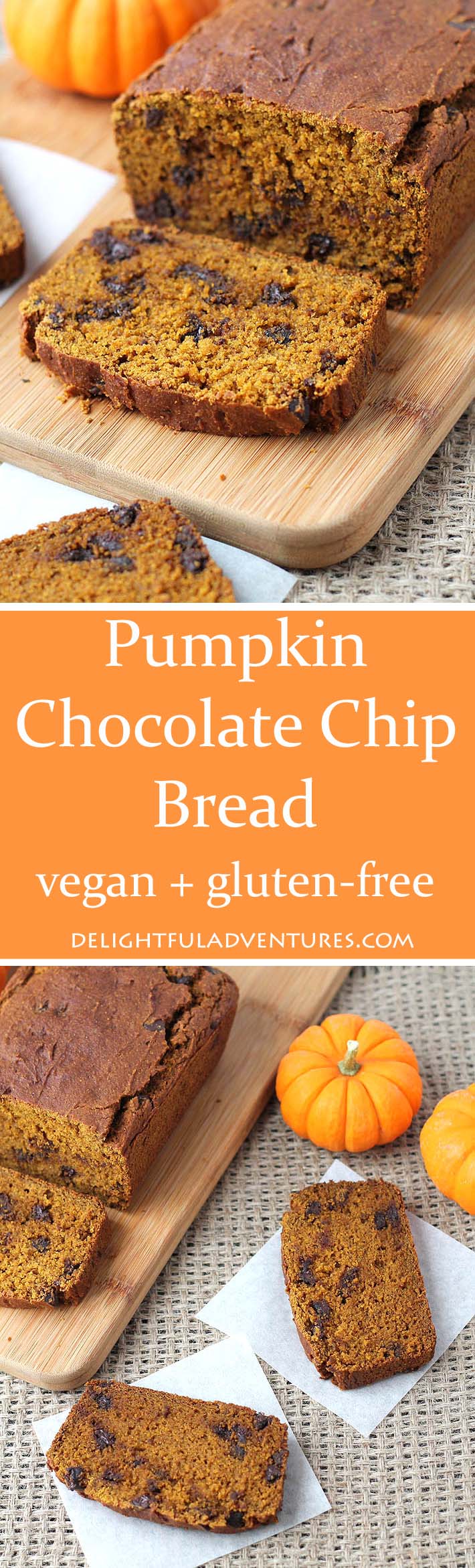 Vegan Gluten Free Pumpkin Chocolate Chip Bread ...