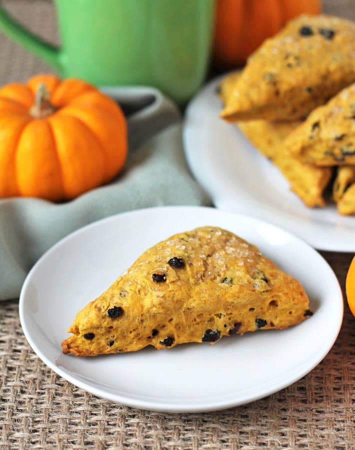 Vegan pumpkin scones sitting on white plate in the background and one pumpkin scone sitting on a small white plate in the front.