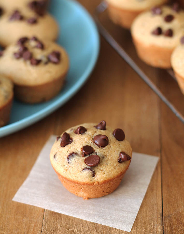 Mini Chocolate Chip Muffins on a metal cooling rack off to the right, a blue plate with muffins is on the left and one muffin is in the forefront of the picture and is sitting on a parchment paper square.