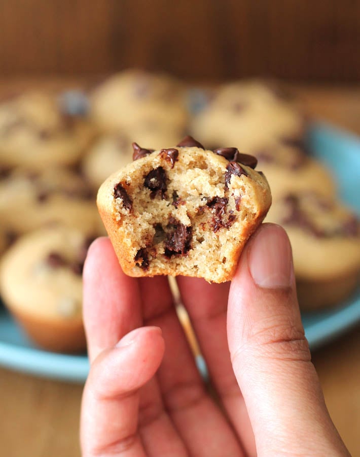 A blue plate of Mini Chocolate Chip Muffins sits in the background on a brown wood table, in the forefront of the image, a hand is holding up a muffin, a bite has been taken out of the muffin so the inside fluffy texture of the muffin can be shown.