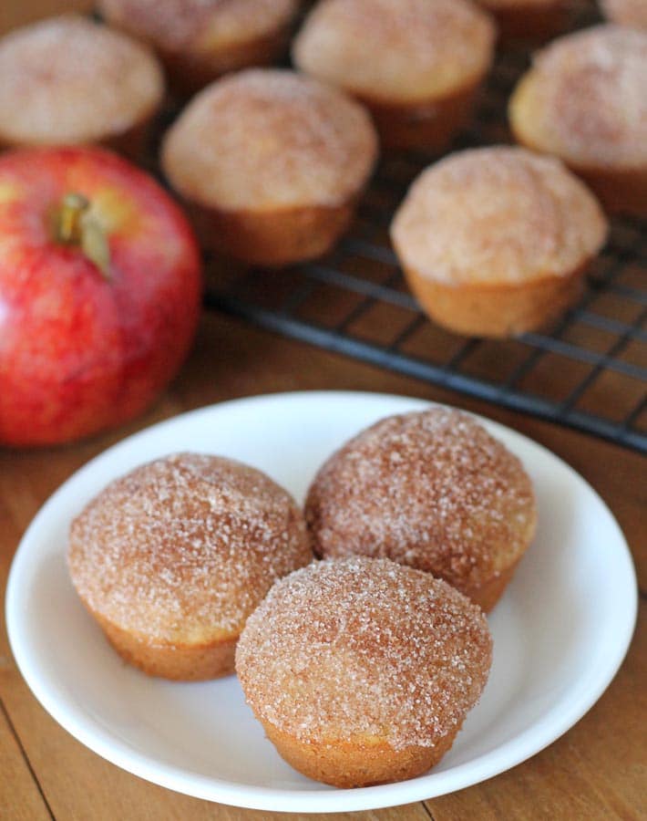Three Gluten Free Vegan Apple Muffins on a small white plate.