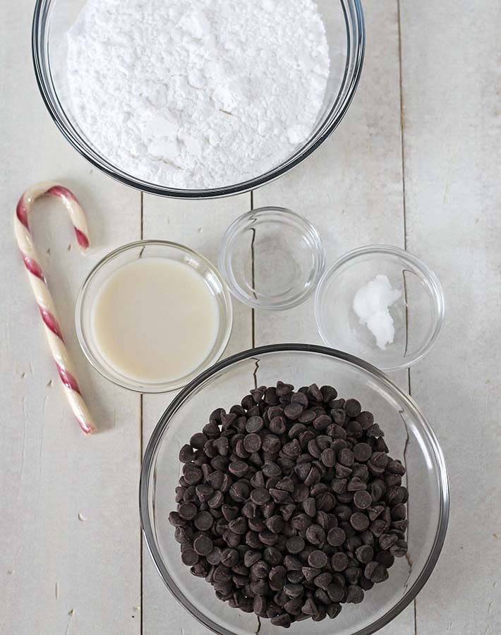 Overhead shot of the ingredients for making Vegan Peppermint Patties.