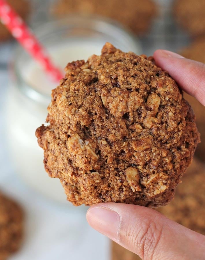 A hand holding an Oatmeal Cookie to give a closeup view.