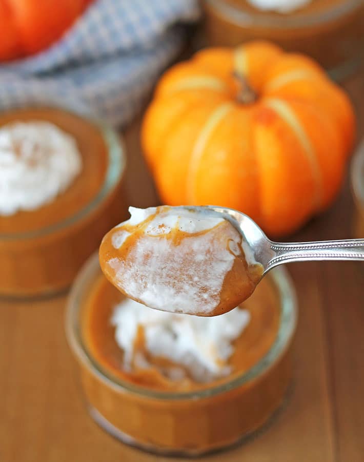 Close up shot of dairy free pumpkin pudding on a spoon.