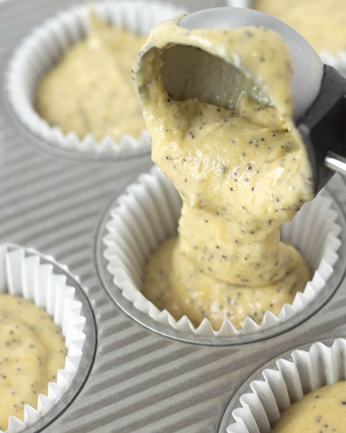 Muffin batter being poured by a scoop into a muffin cup that is in a muffin pan.