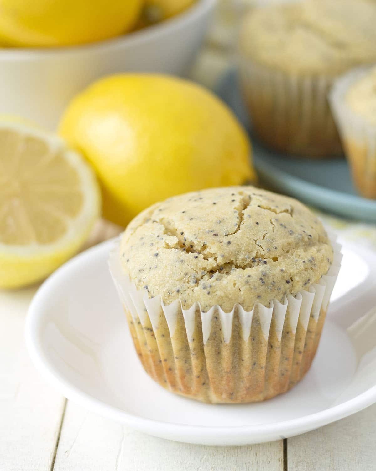 A muffin sitting on a small white plate.