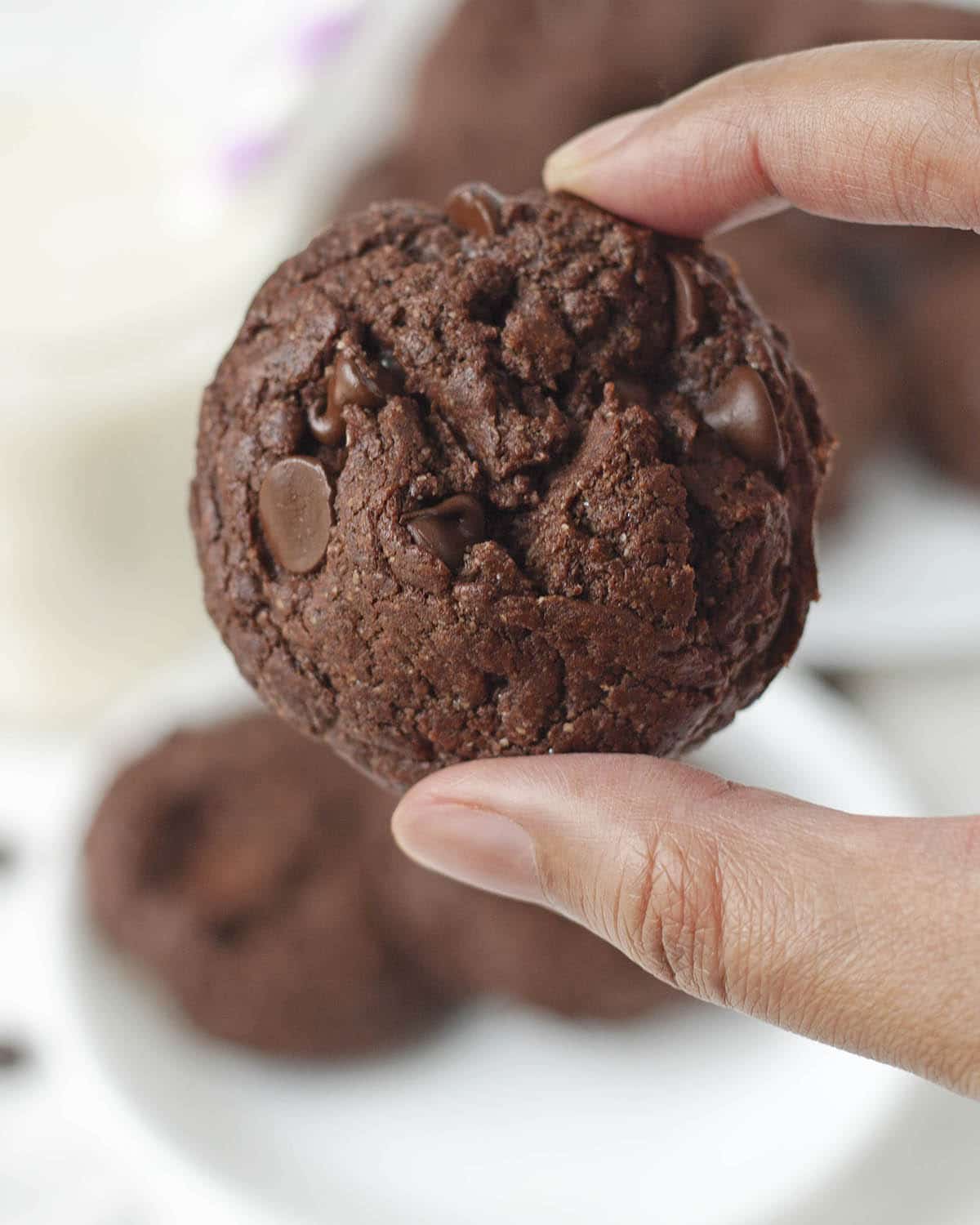 Image shows a hand holding a chocolate cookie close up to the camera.