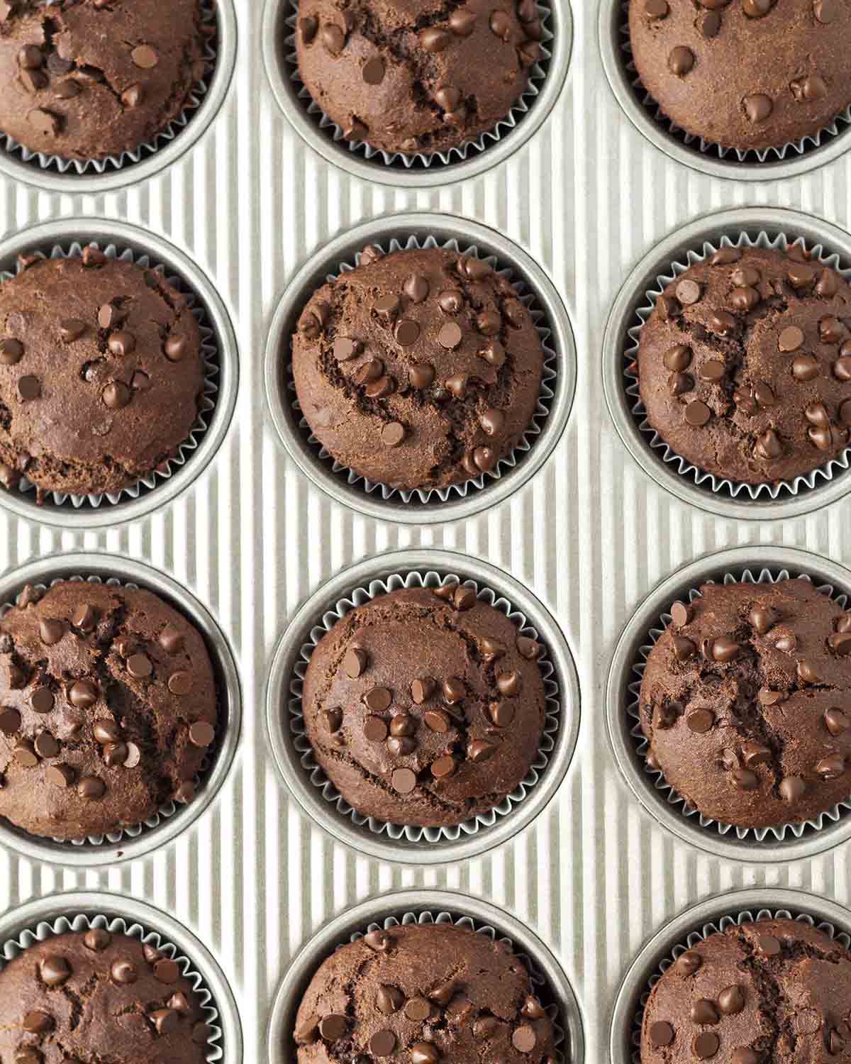 Overhead shot of a muffin pan full of freshly baked vegan gluten-free chocolate banana muffins.