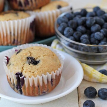 Close up shot of a vegan gluten free blueberry muffin on a white plate.