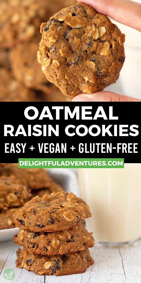 Vegan Oatmeal Raisin Cookies (GlutenFree, Eggless) Delightful Adventures