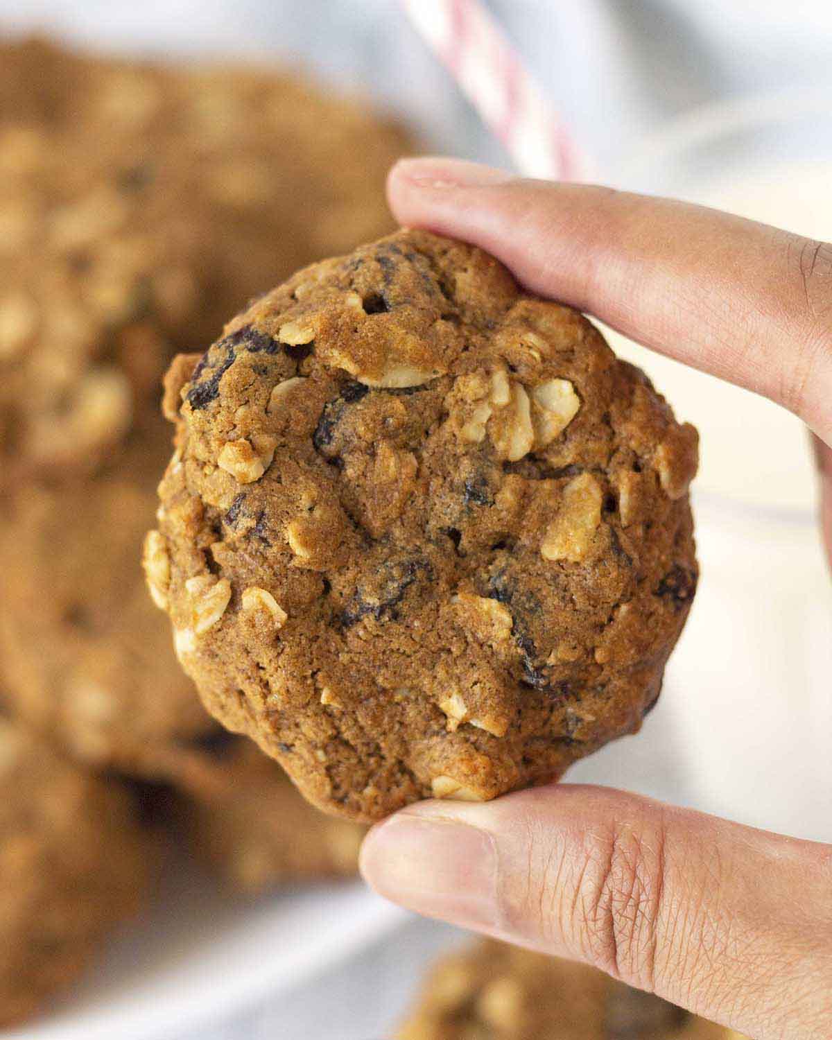 Image shows a hand holding up a soft plant-based oatmeal raisin cookie.