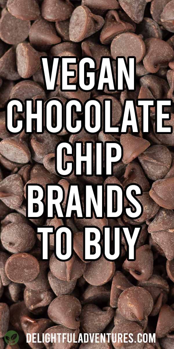 are-chocolate-chips-vegan-these-brands-are-delightful-adventures