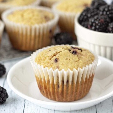 A blackberry muffin sitting on a small white plate, fresh blackberries sit around the plate.