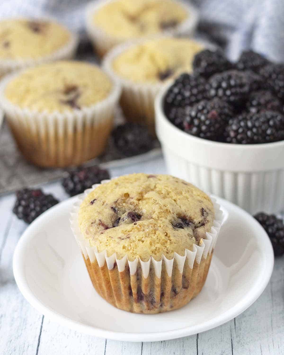 A gluten-free blackberry muffin on a small white plate.