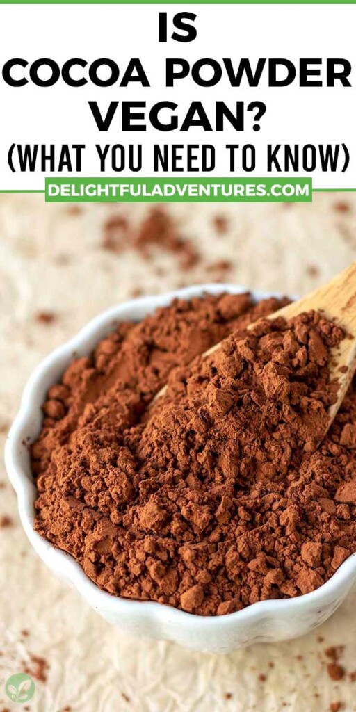 Pinterest pin showing an image of cocoa powder and a text overlay, this image is to be used to pin this article to Pinterest.