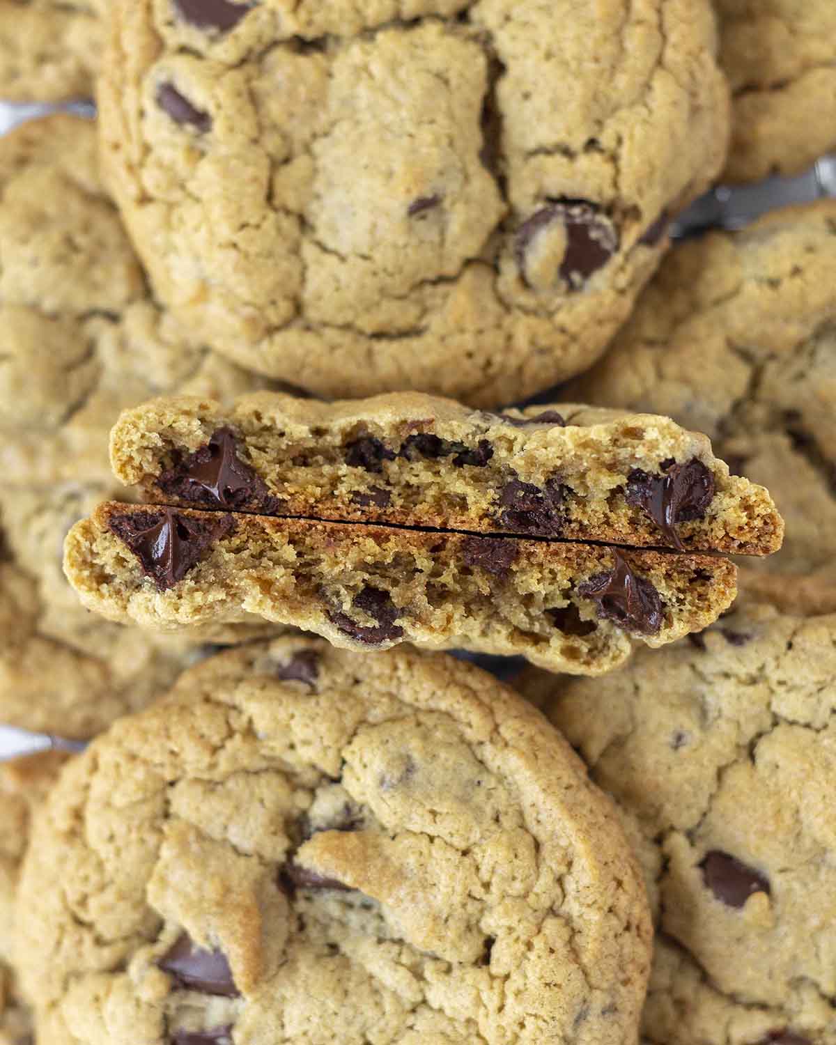 A close up shot showing the inside of an oatmeal flour chocolate chip cookie that has been broken in half.