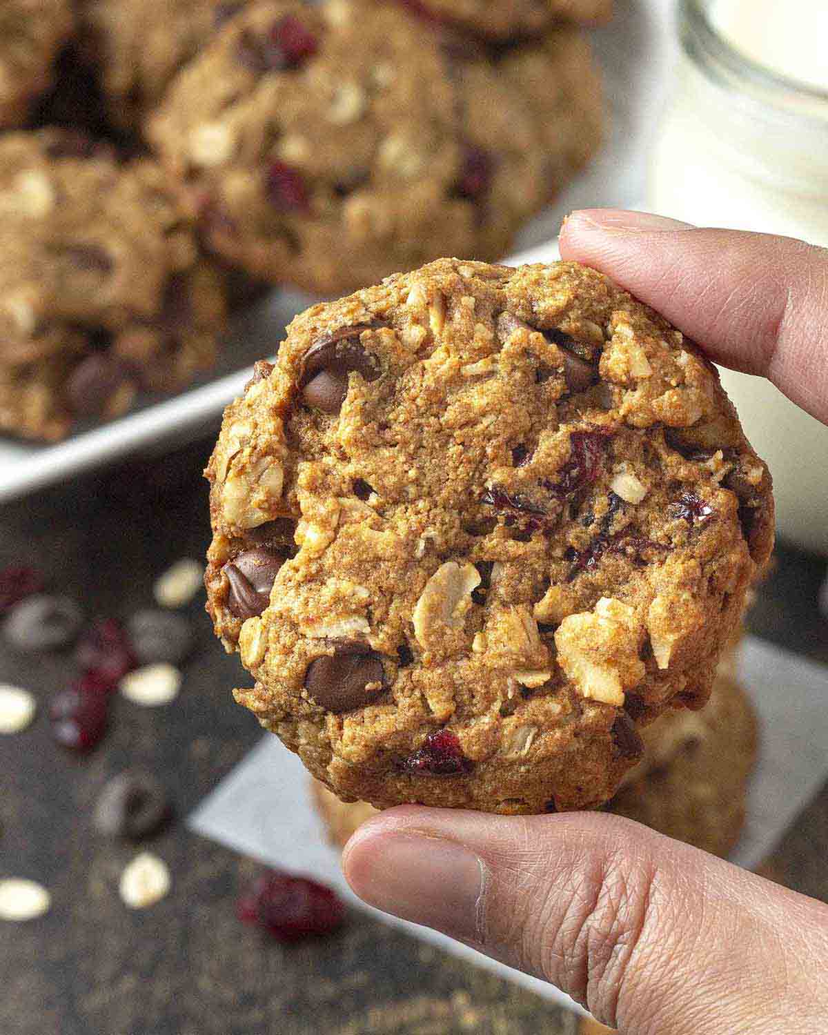 A hand holding up an oatmeal cranberry chocolate chip cookie to show the texture.