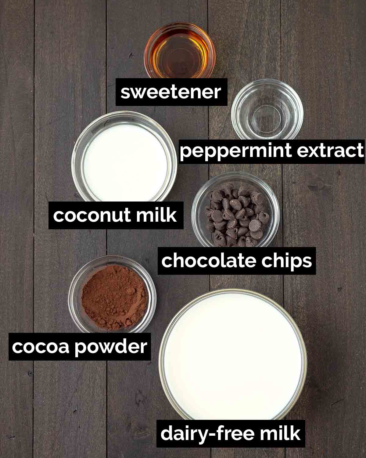 An overhead shot showing the ingredients needed to make peppermint hot chocolate.
