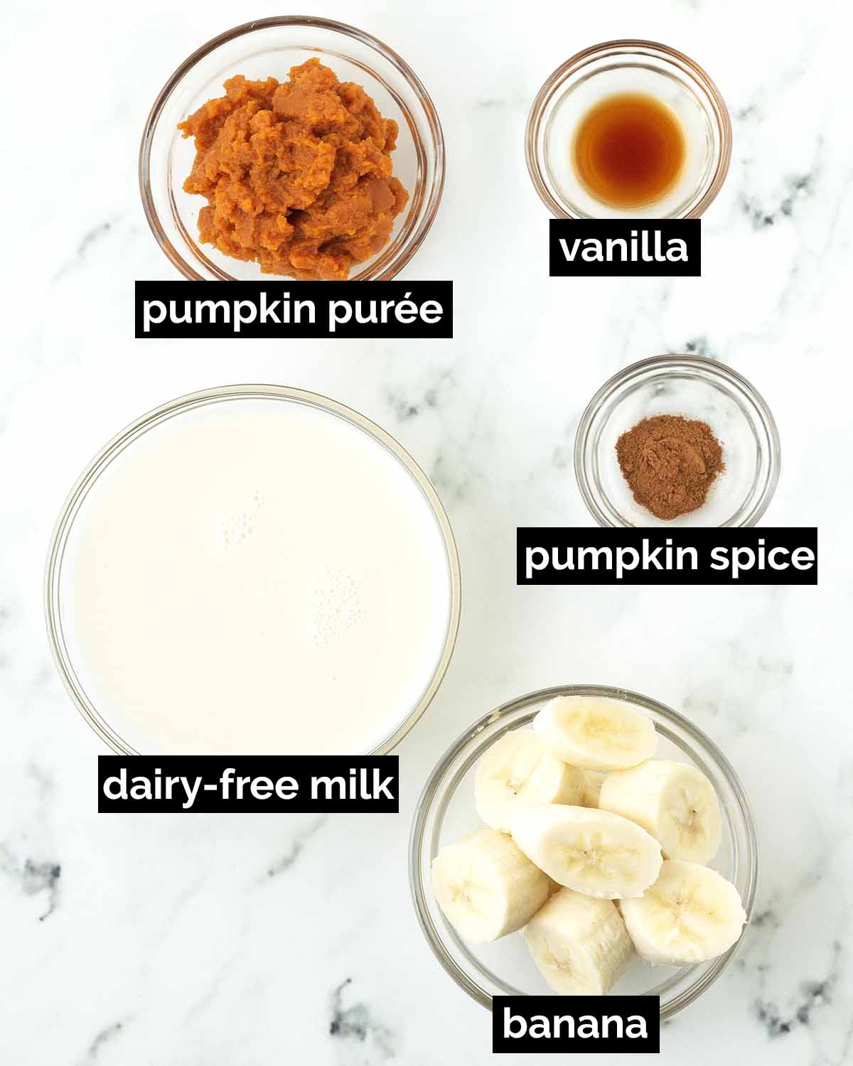 An overhead shot showing the ingredients needed to make a vegan pumpkin smoothie.