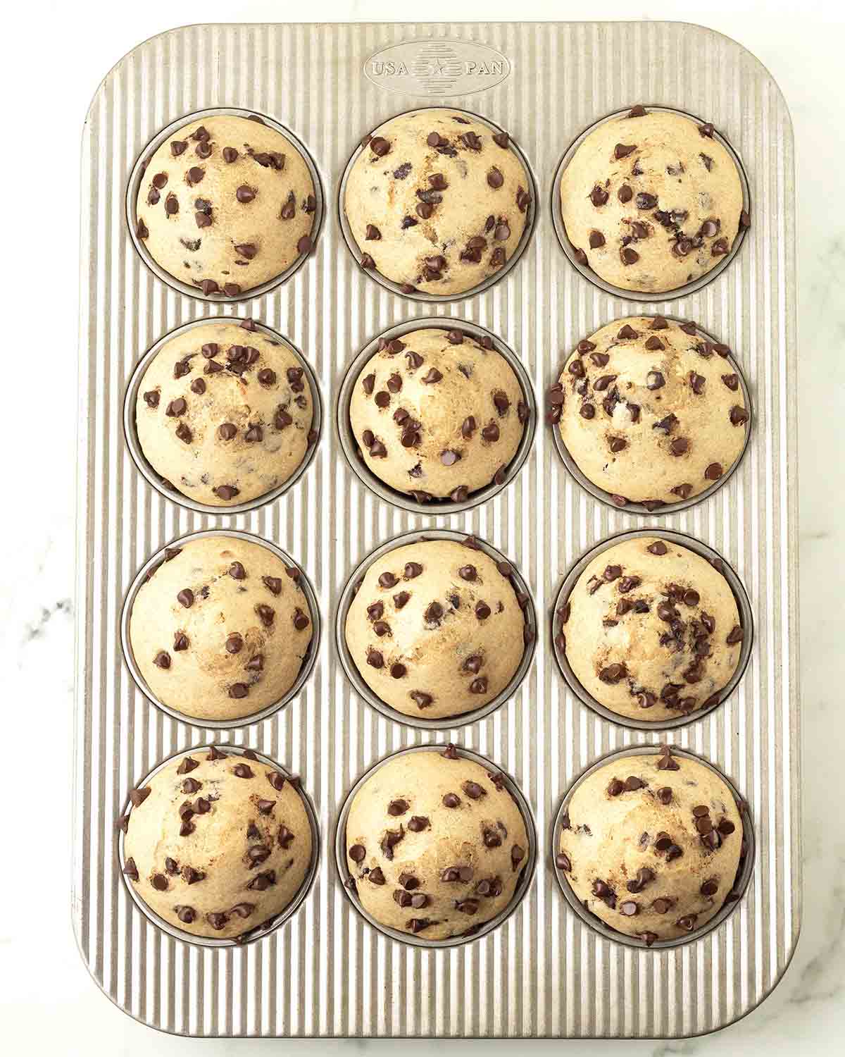An overhead image of vegan chocolate chip muffins in a muffin pan fresh from the oven.