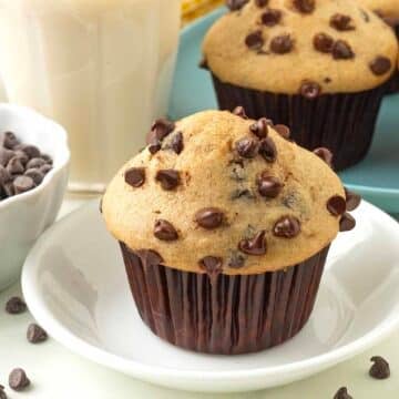 A vegan chocolate chip muffin sitting on a small white plate.