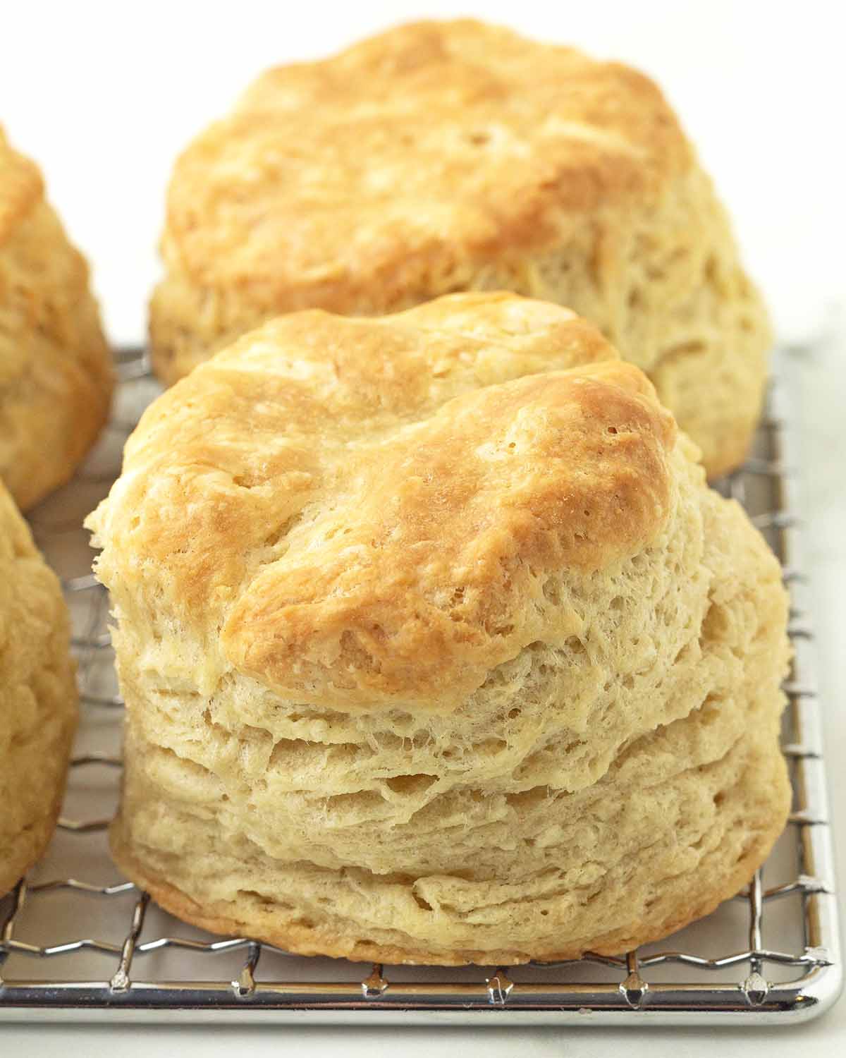 A close up image of a vegan biscuit sitting on a cooling rack.