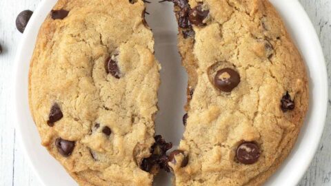 Big Bakery-Style Vegan Chocolate Chip Cookie for One - Delightful