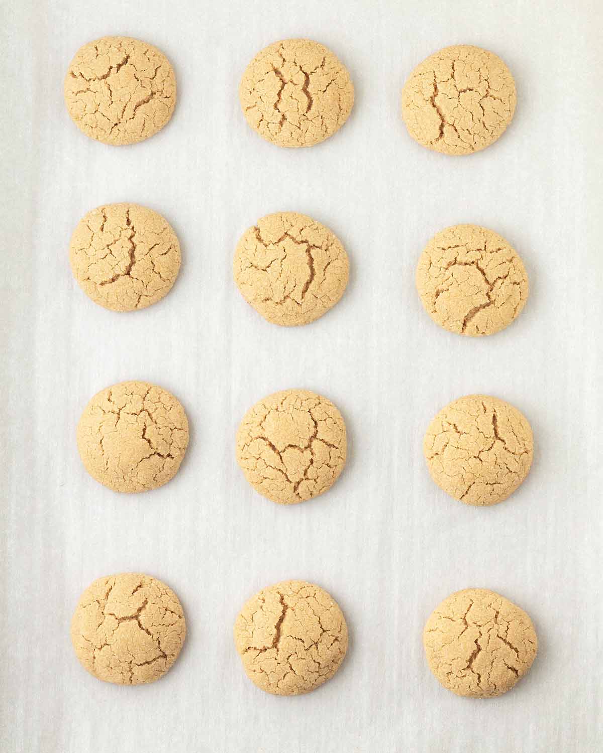 Freshly baked peanut butter blossom cookies on a cookie sheet.