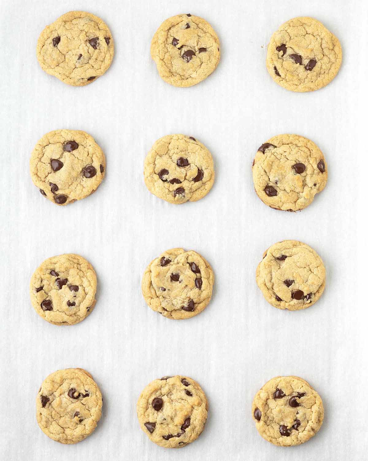 Baked chocolate chip cookies on a cookie sheet.