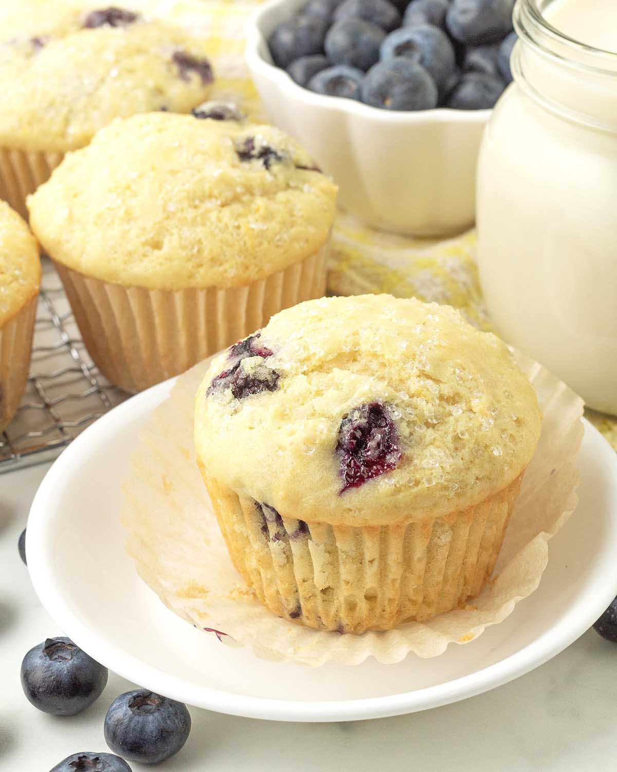 A blueberry lemon muffin on a plate, the muffin wrapper has been peeled away.