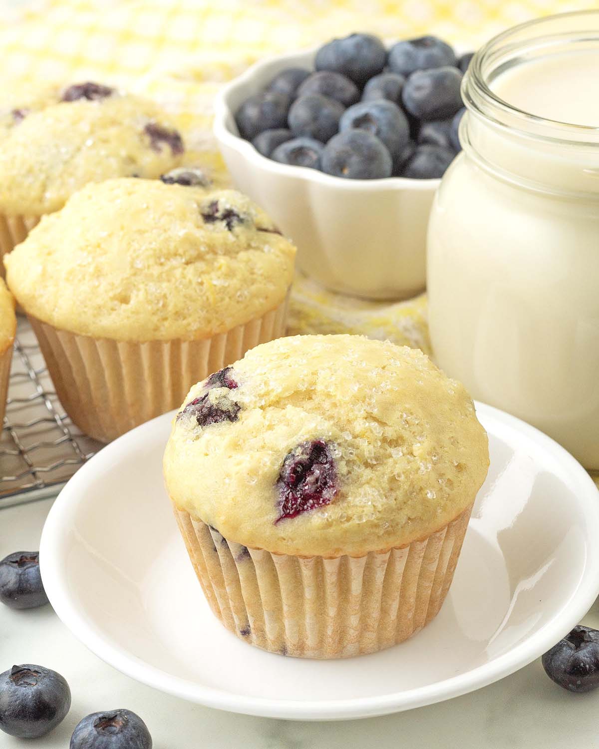 A lemon blueberry buttermilk muffin sitting on a small white plate.