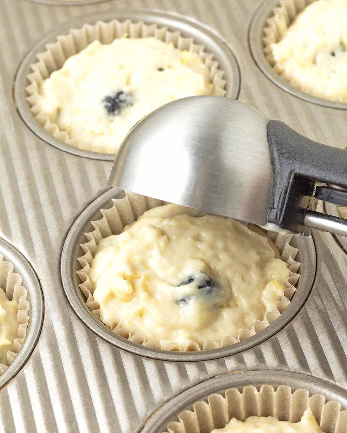 A medium scoop adding lemon blueberry muffin batter to a paper muffin cup in a muffin pan.