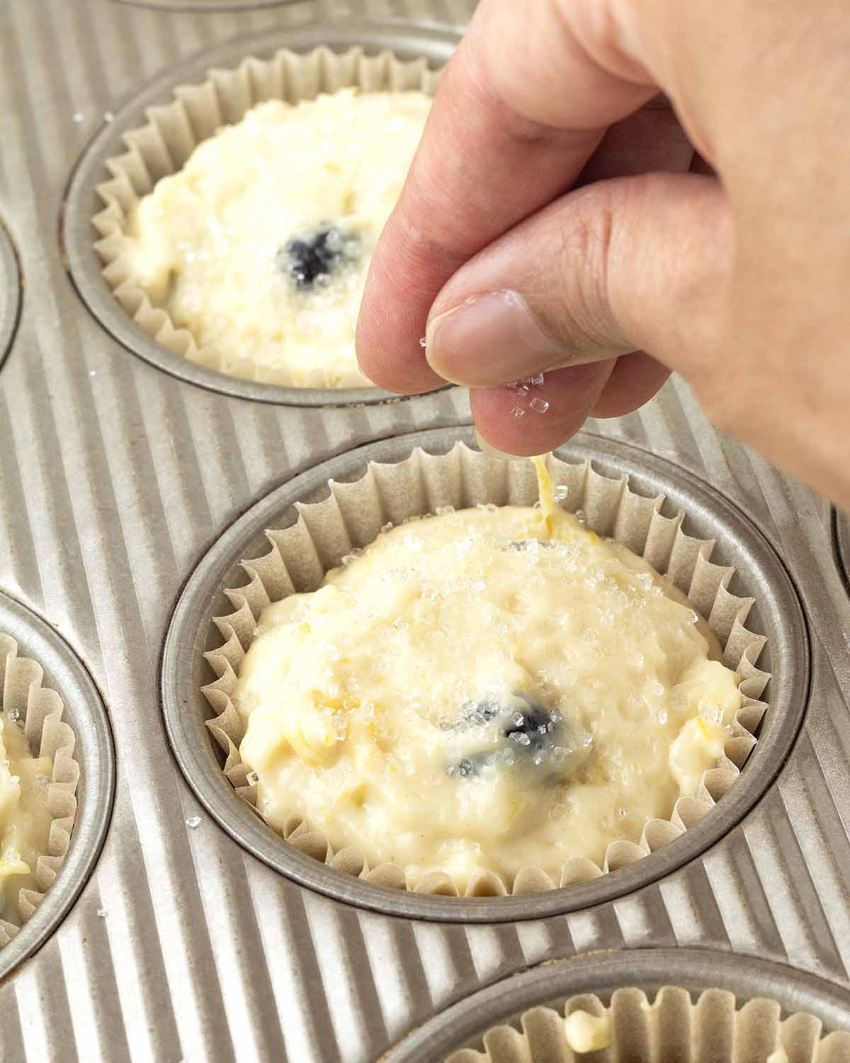 A hand sprinkling coarse sugar on top of an unbaked lemon blueberry muffin.