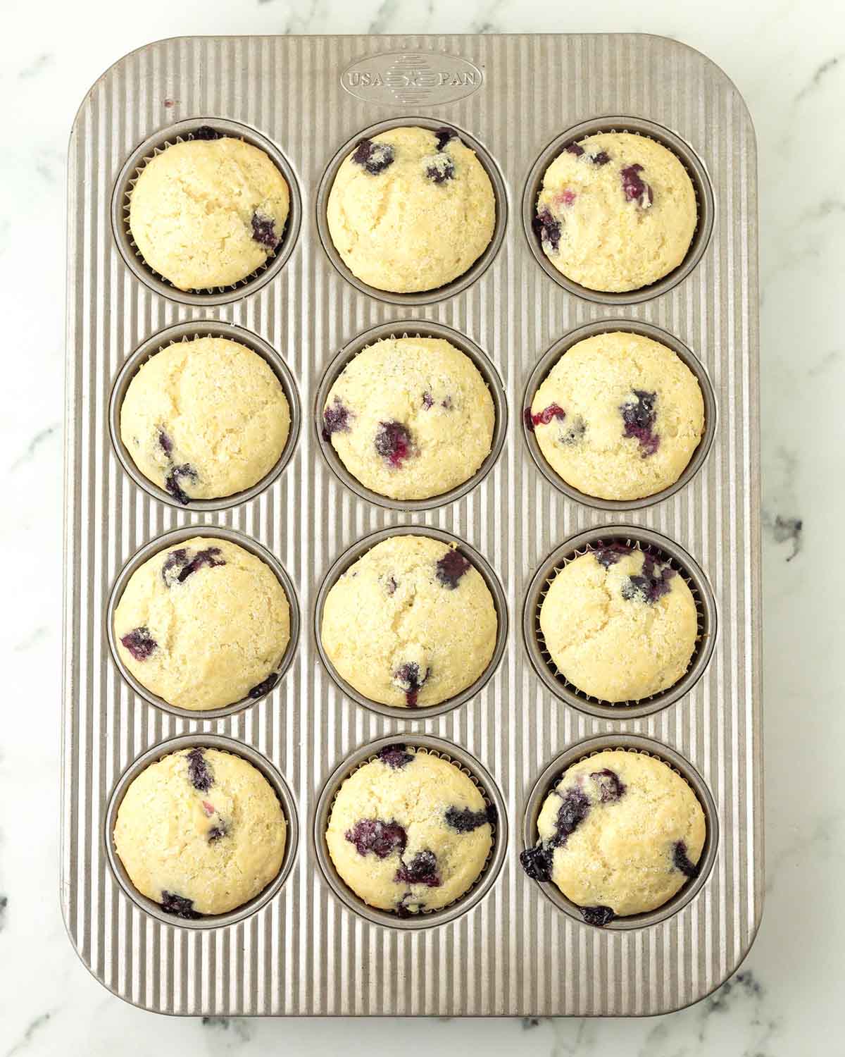 Freshly baked lemon blueberry muffins in a muffin pan.