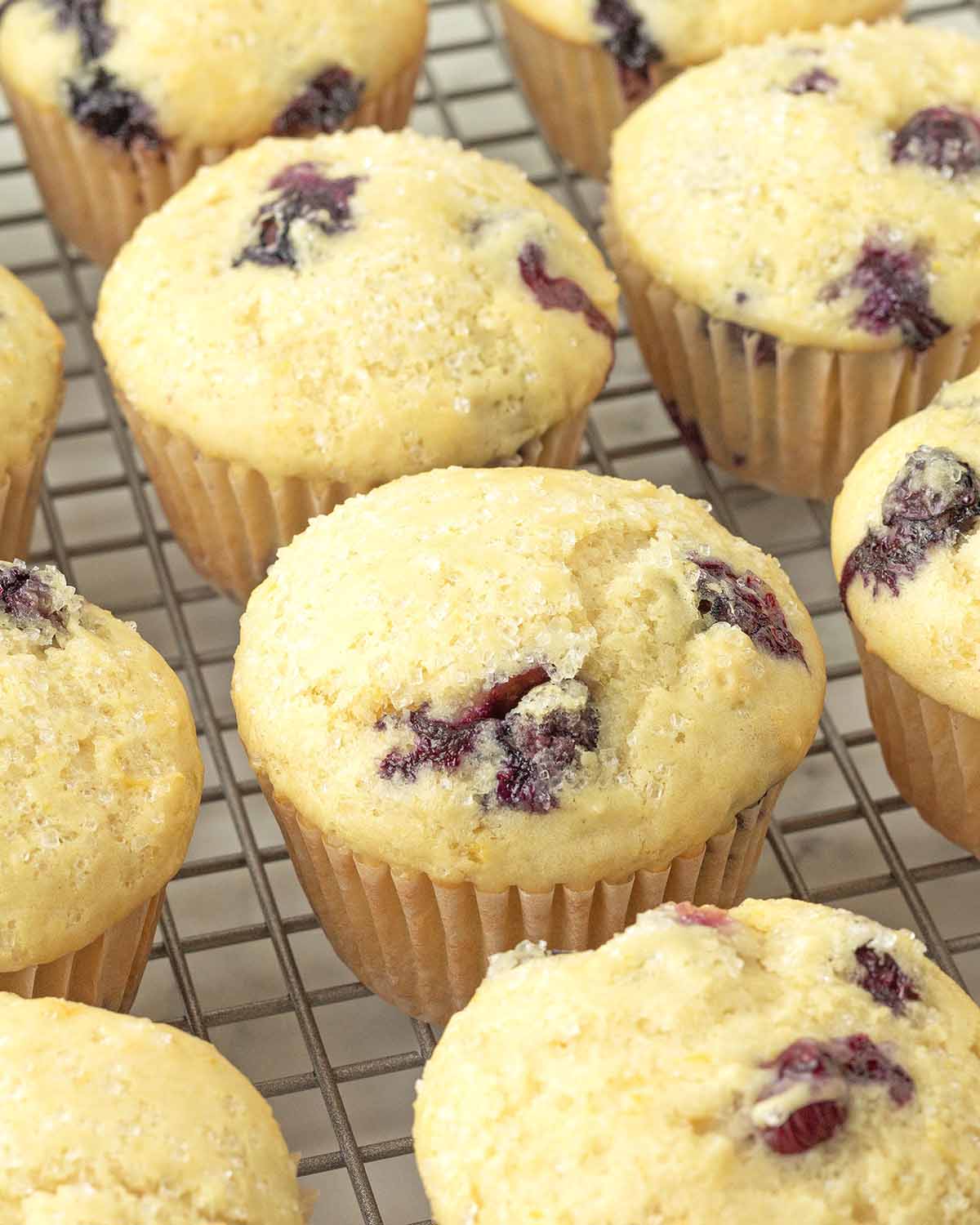 Freshly baked vegan lemon blueberry muffins cooling on a metal rack.