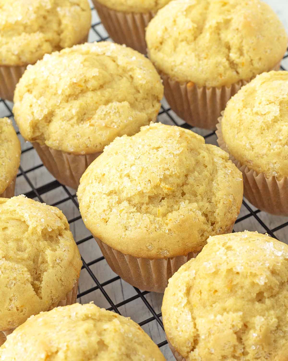 Freshly baked vegan orange muffins cooling on a black metal rack.
