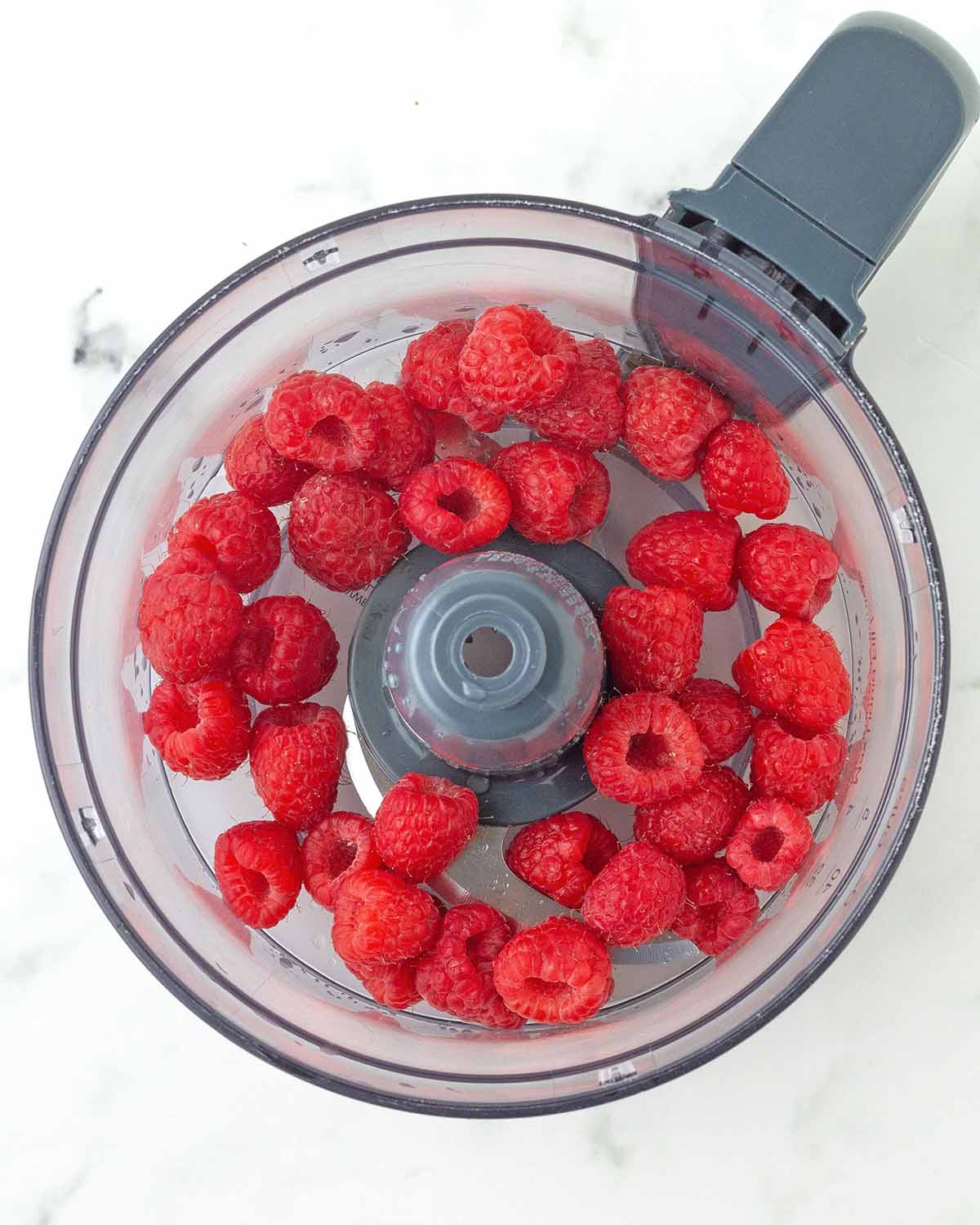 Fresh raspberries in a food processor.