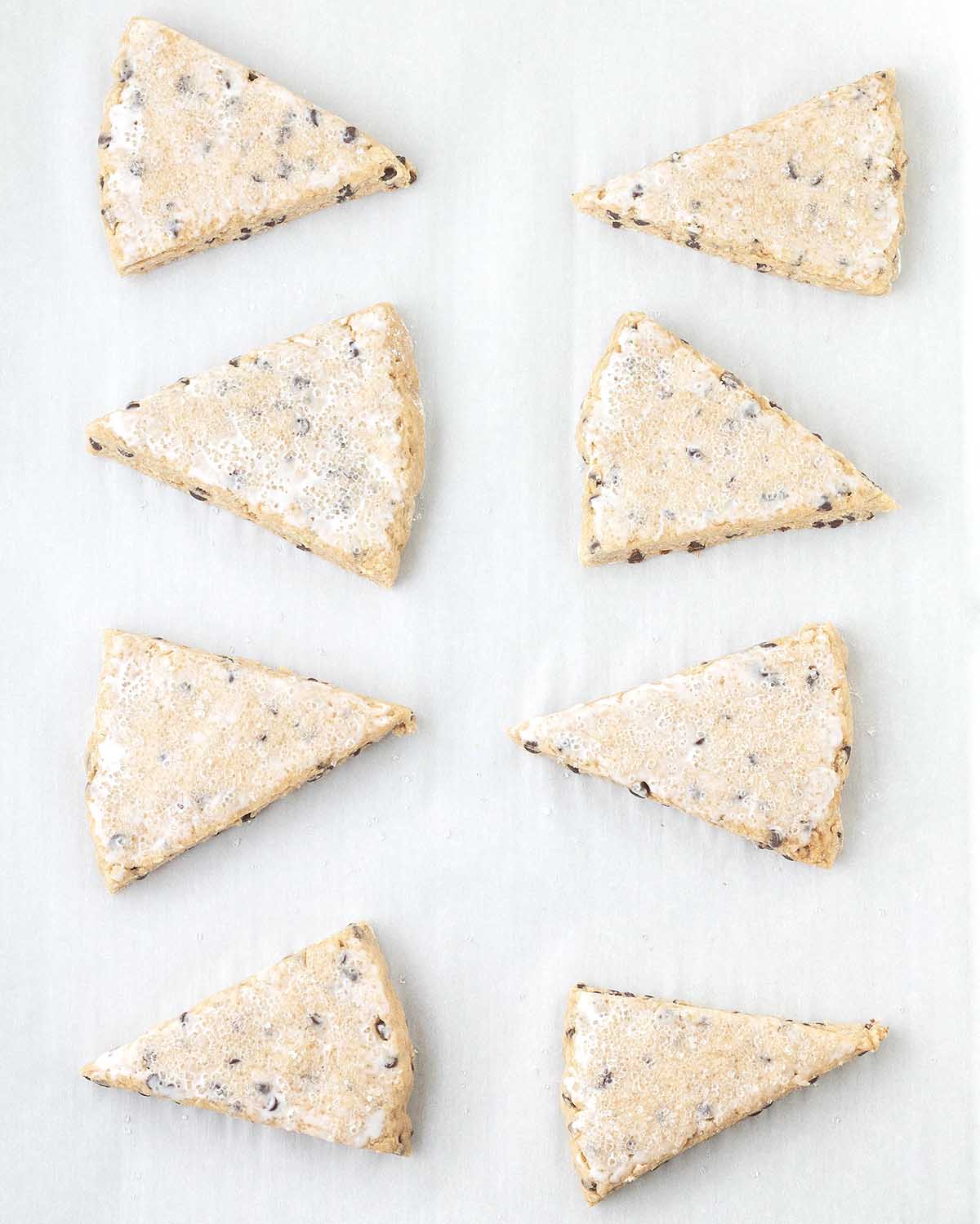 Unbaked chocolate chip scones on a parchment lined baking sheet.