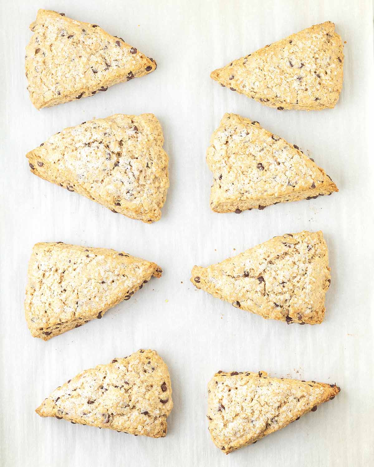 Baked vegan chocolate chip scones on a parchment lined baking sheet.
